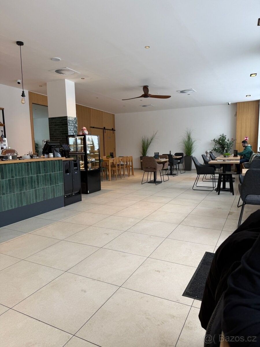 Pronájem restaurace - Praha, 100 00