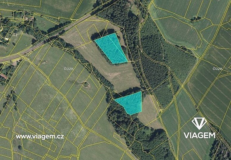 Les · Pustá Kamenice, okres Svitavy, Pardubický kraj - 3