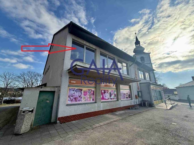 Obchodní prostory, Staré Město pod Landštejnem, 307 m² - 1