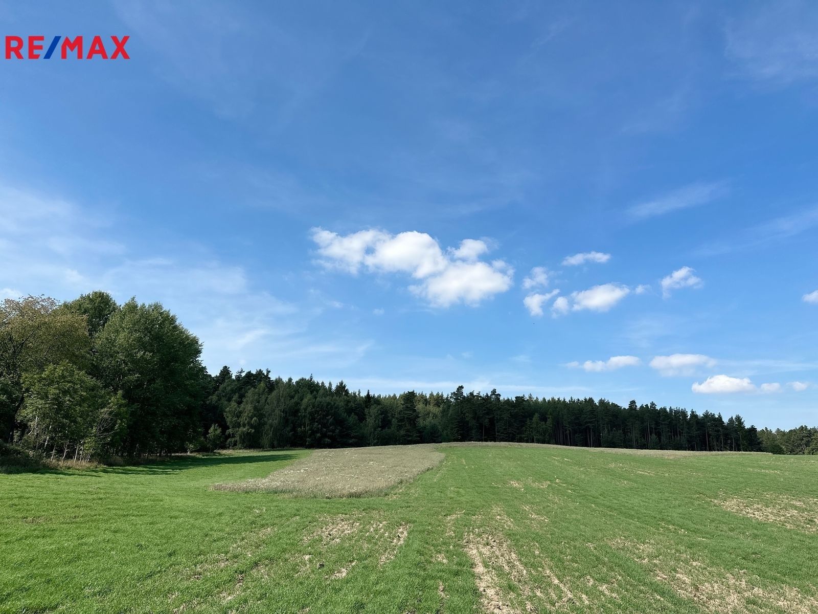 Prodej les - Dlouhý Újezd, 12 m²