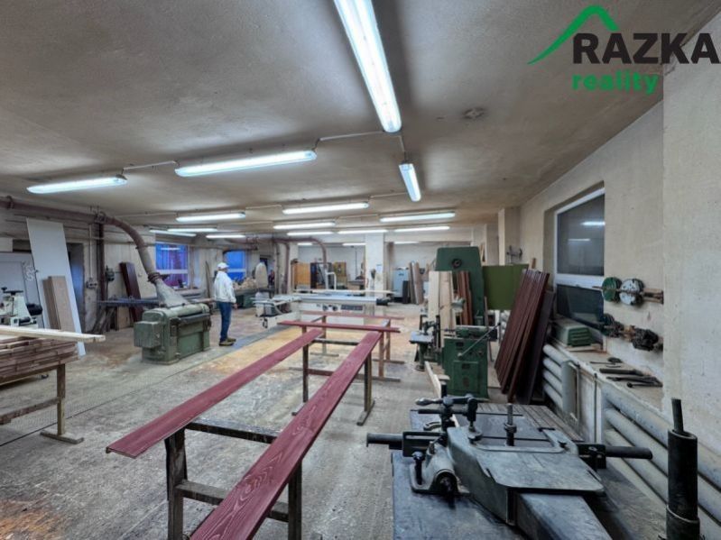 Pronájem výrobní prostory - Přimdská, Bor, 280 m²