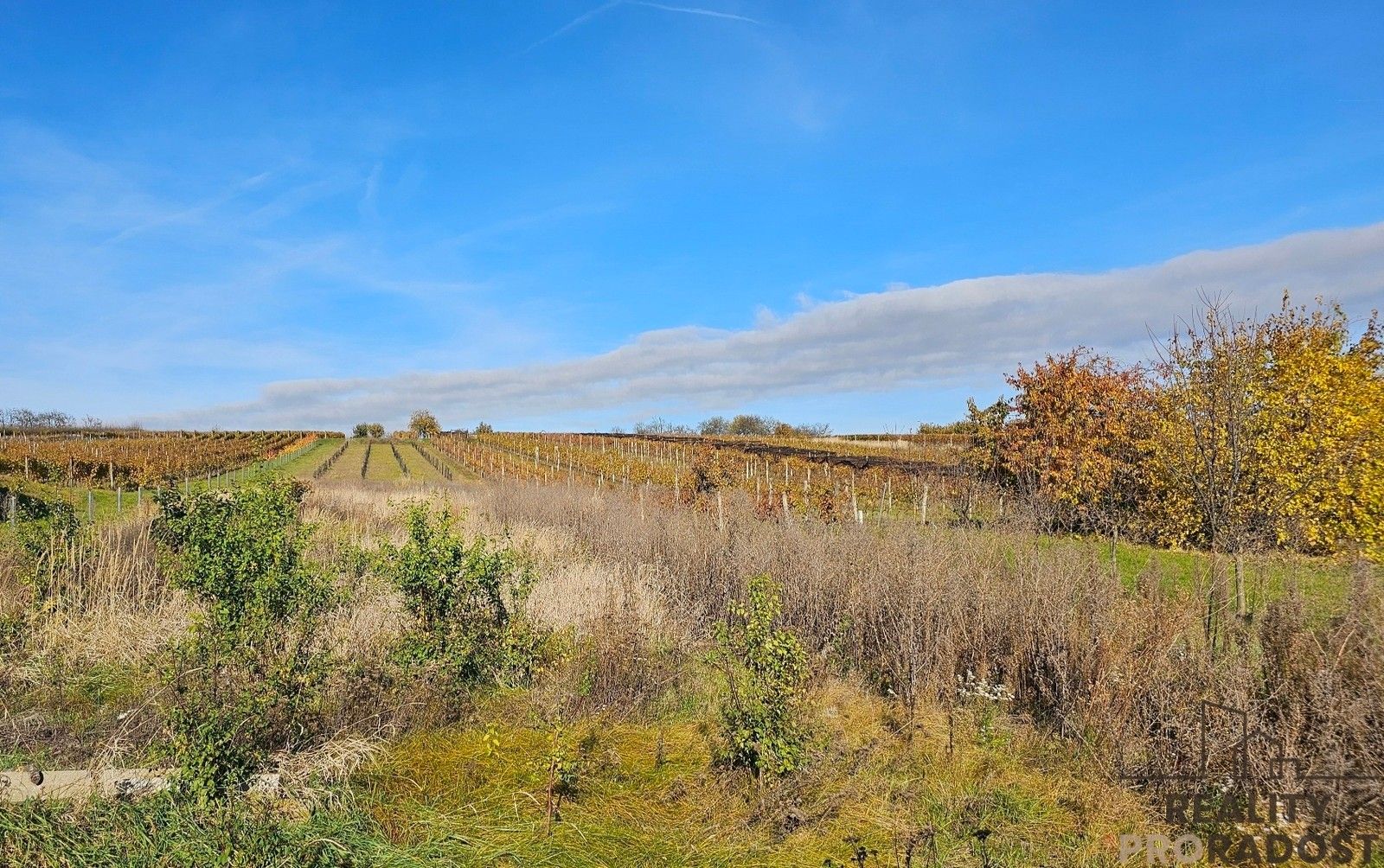 Pozemky pro bydlení, Starý Poddvorov, 814 m²