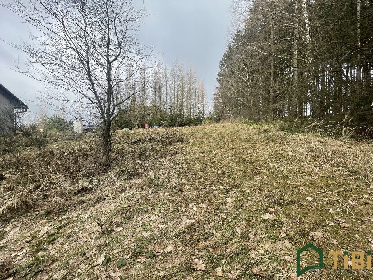 Prodej ostatní - Moravská Třebová, 571 01 - 5