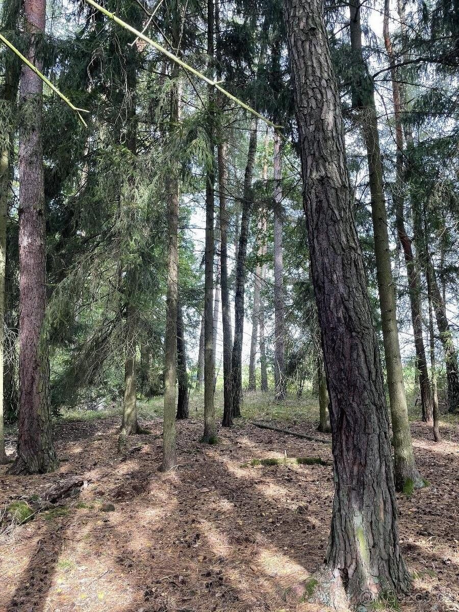 Prodej pozemek pro bydlení - Kardašova Řečice, 378 21