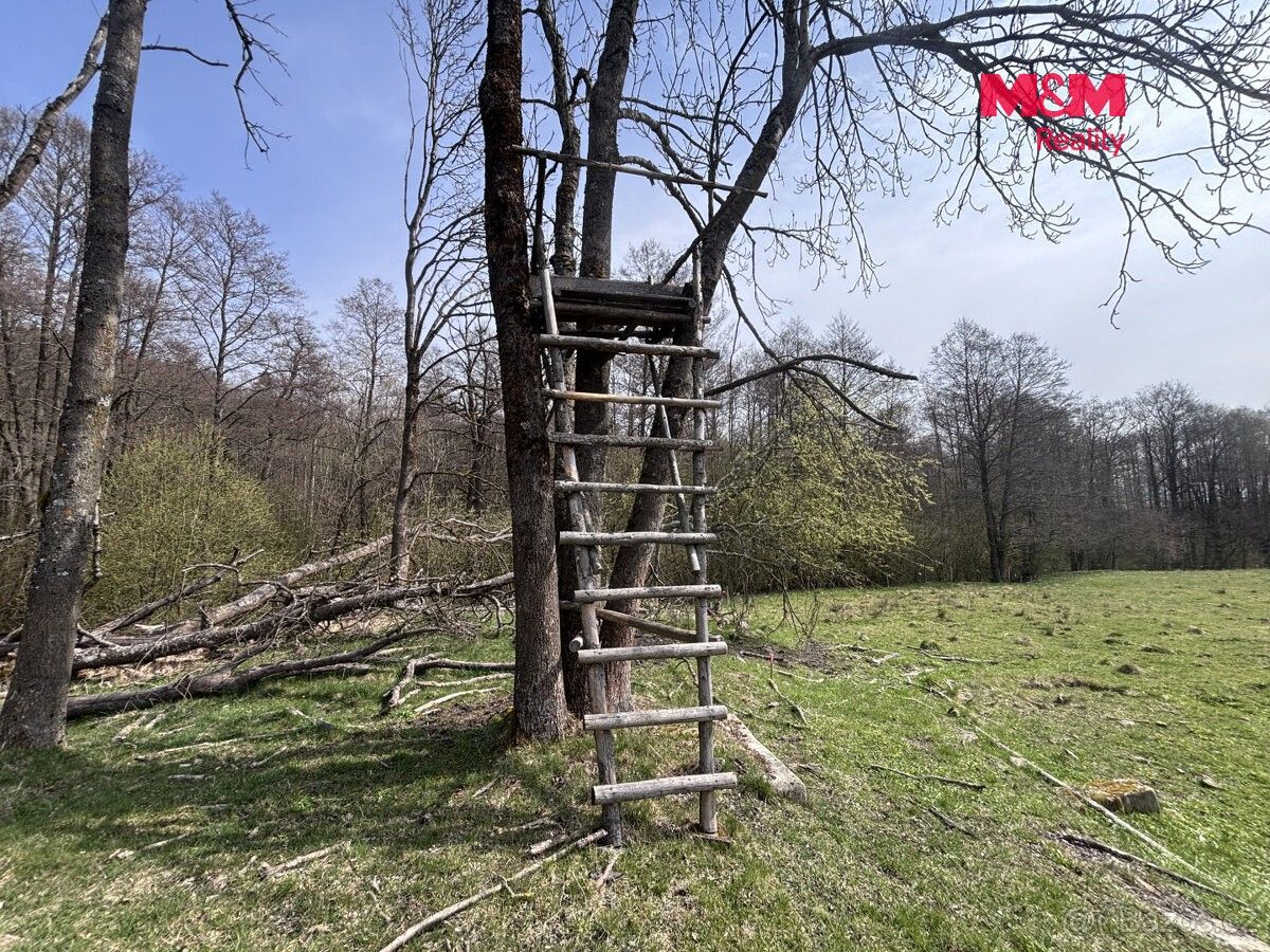 Pozemek pro bydlení · Mařenice, 471 56 - 3