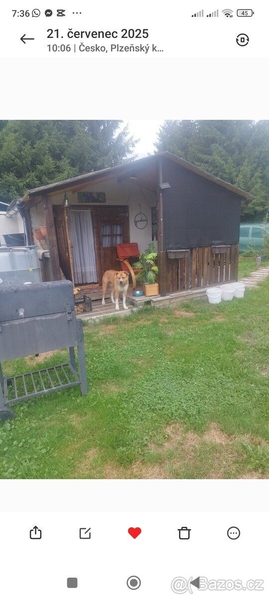 Zahrady, Chodová Planá, 348 13