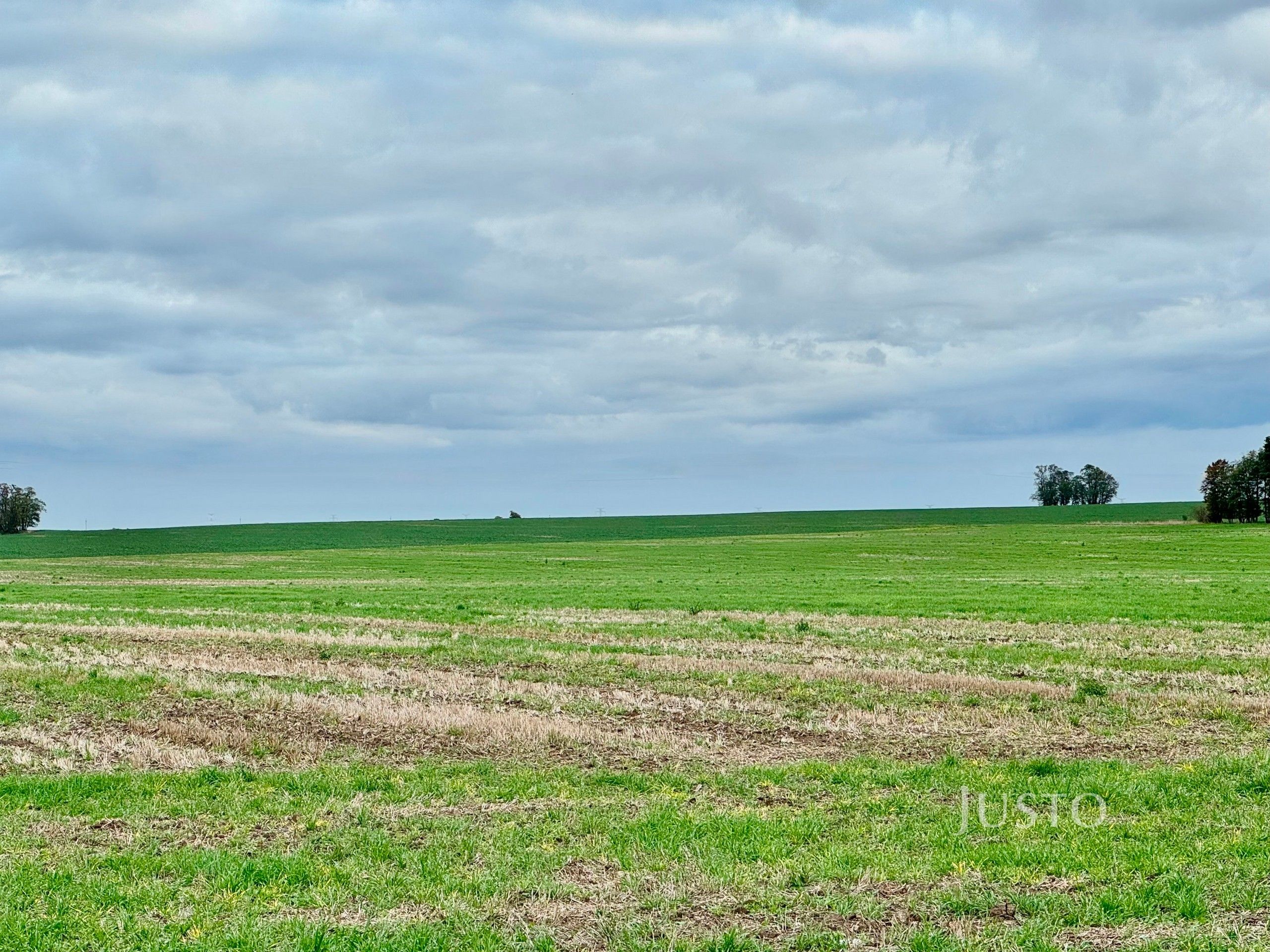 Prodej zemědělský pozemek - Miletice, Černuc, 7 m²