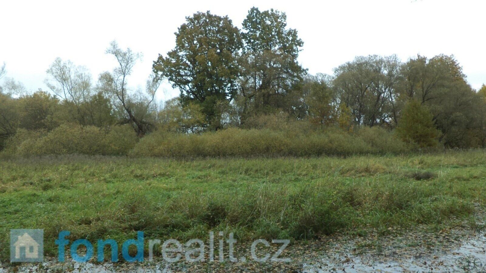 Pozemek · 10 115 m² · Nová Ves nad Lužnicí - 4