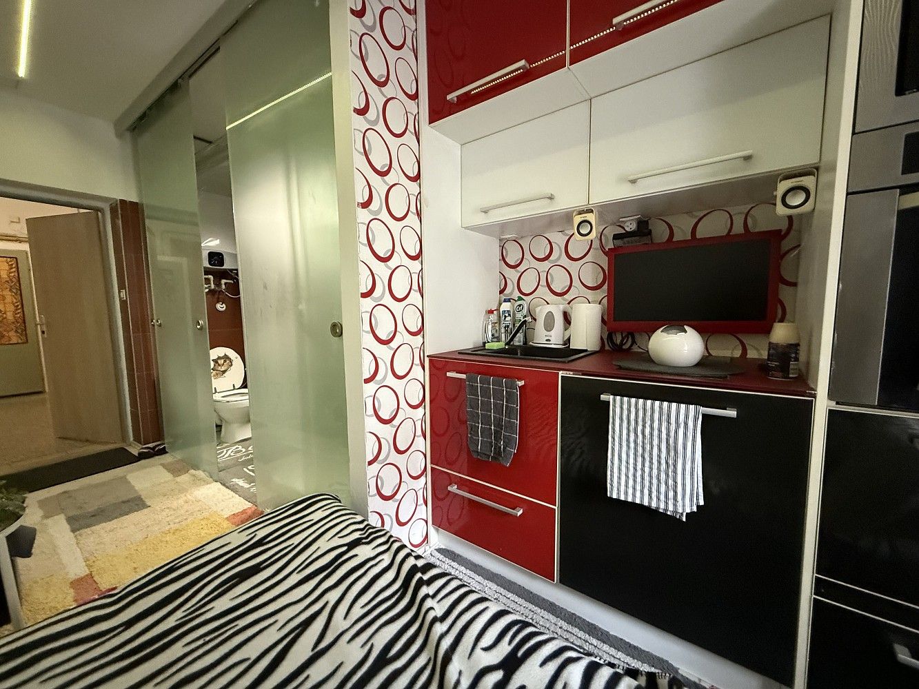 1+kk, Lazebnická, Jihlava, 11 m² - 2