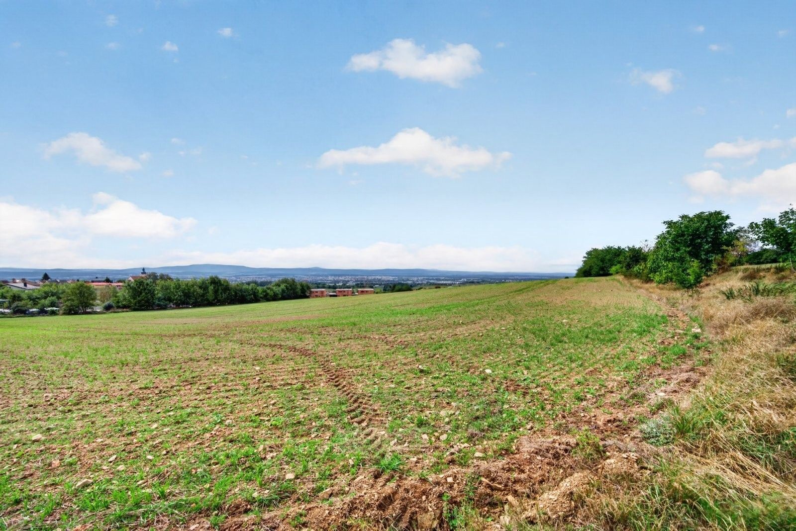 Pozemky pro bydlení, Třeboňská 299, Rudolfov, 6 520 m² - 2