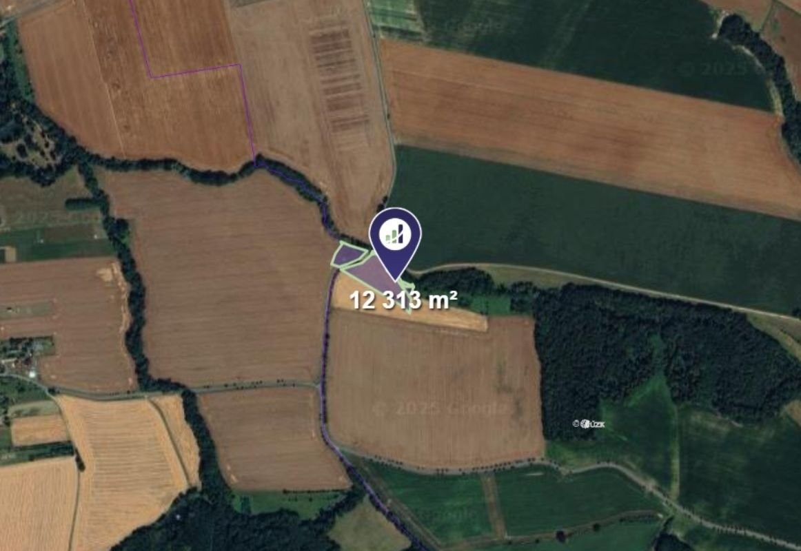 Prodej zemědělský pozemek - Zámrsky, 12 313 m²