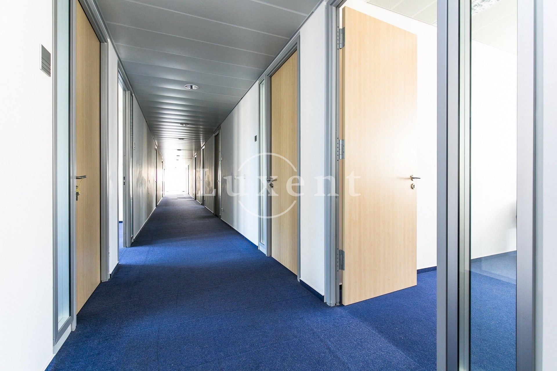 Pronájem kancelář - Pekařská, Praha, 393 m²