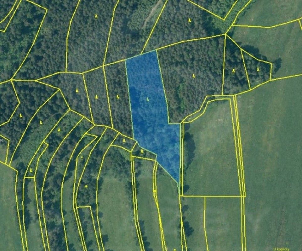 Prodej les - Všeměry, Přídolí, 8 560 m²