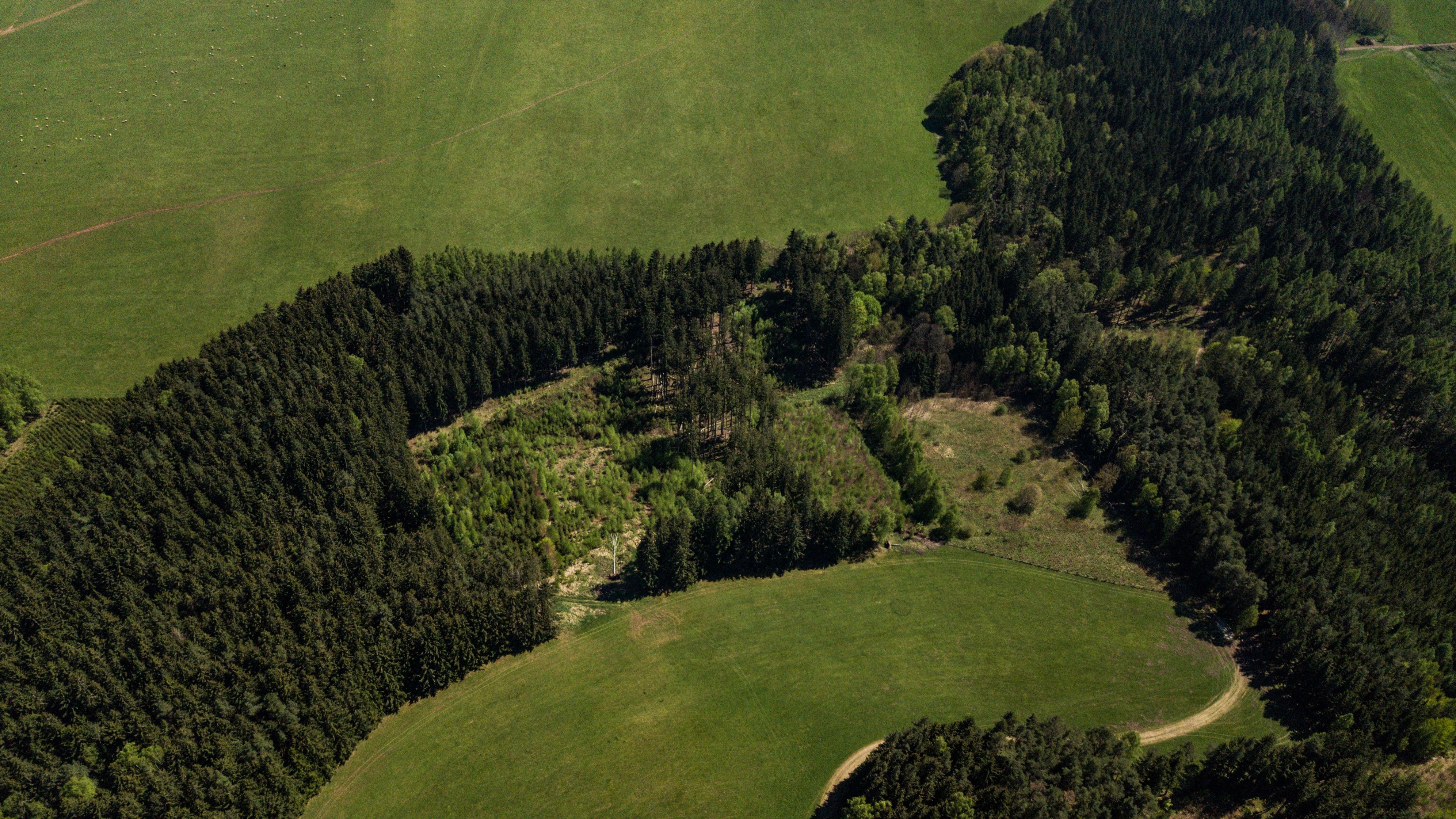 Prodej les - Heřmánkovice , 20 336 m²