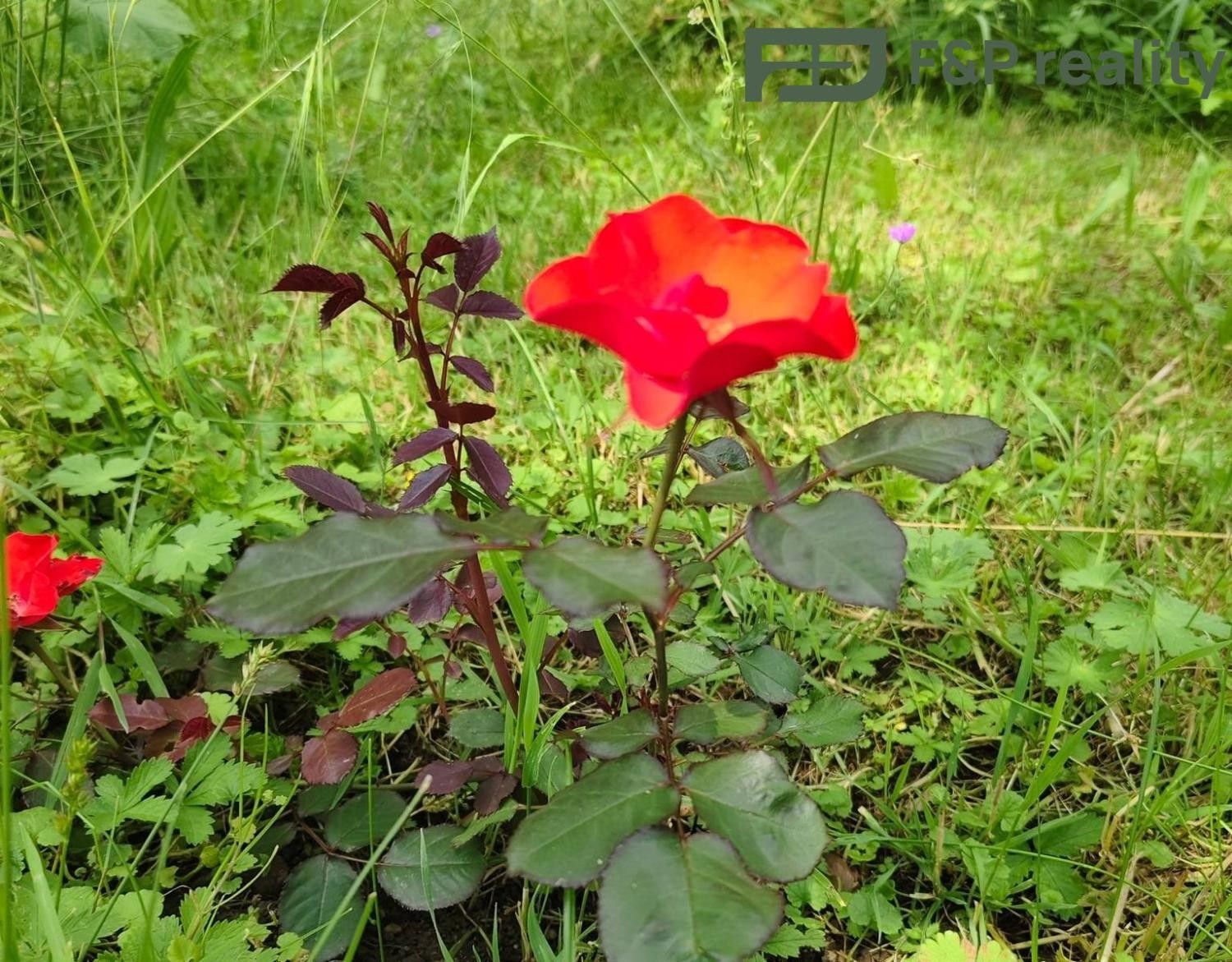 3+1, Čimelice, 89 m²