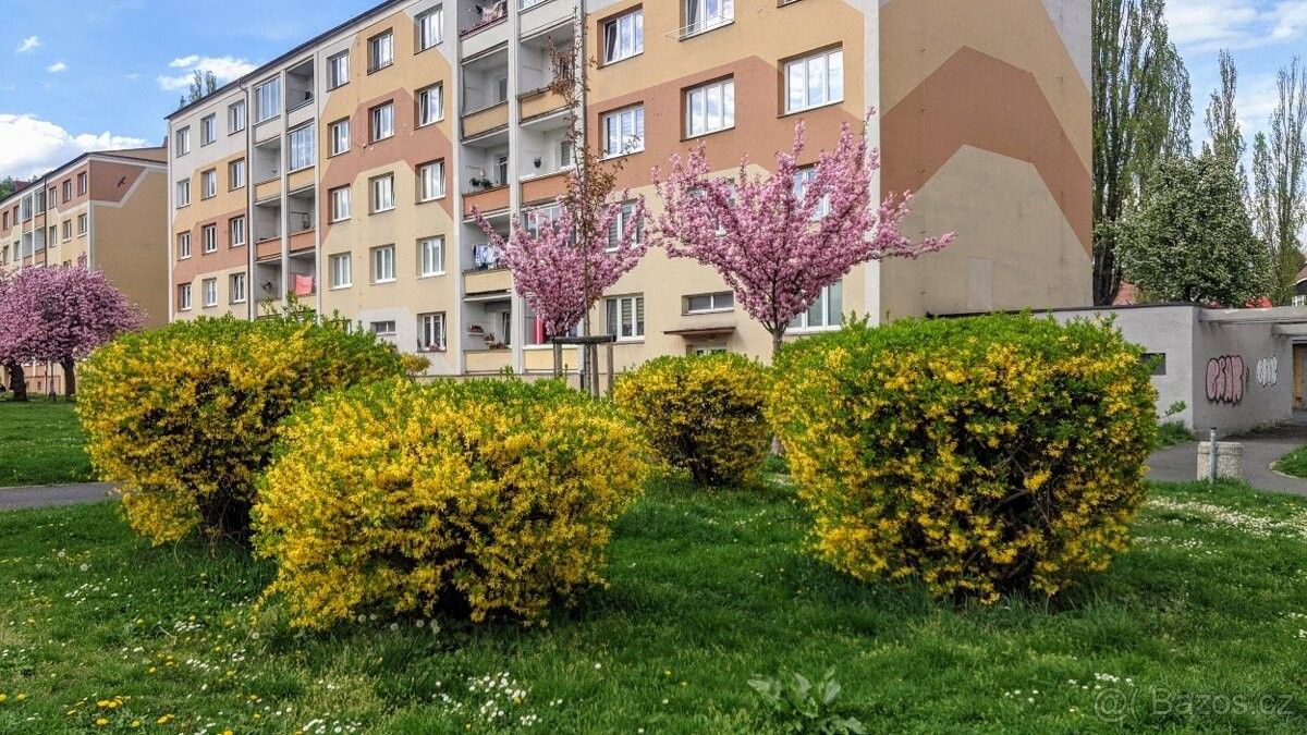 Pronájem byt - Klášterec nad Ohří, 431 51