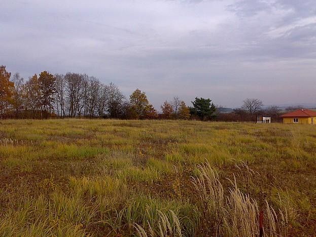 Prodej pozemek pro bydlení - Občov