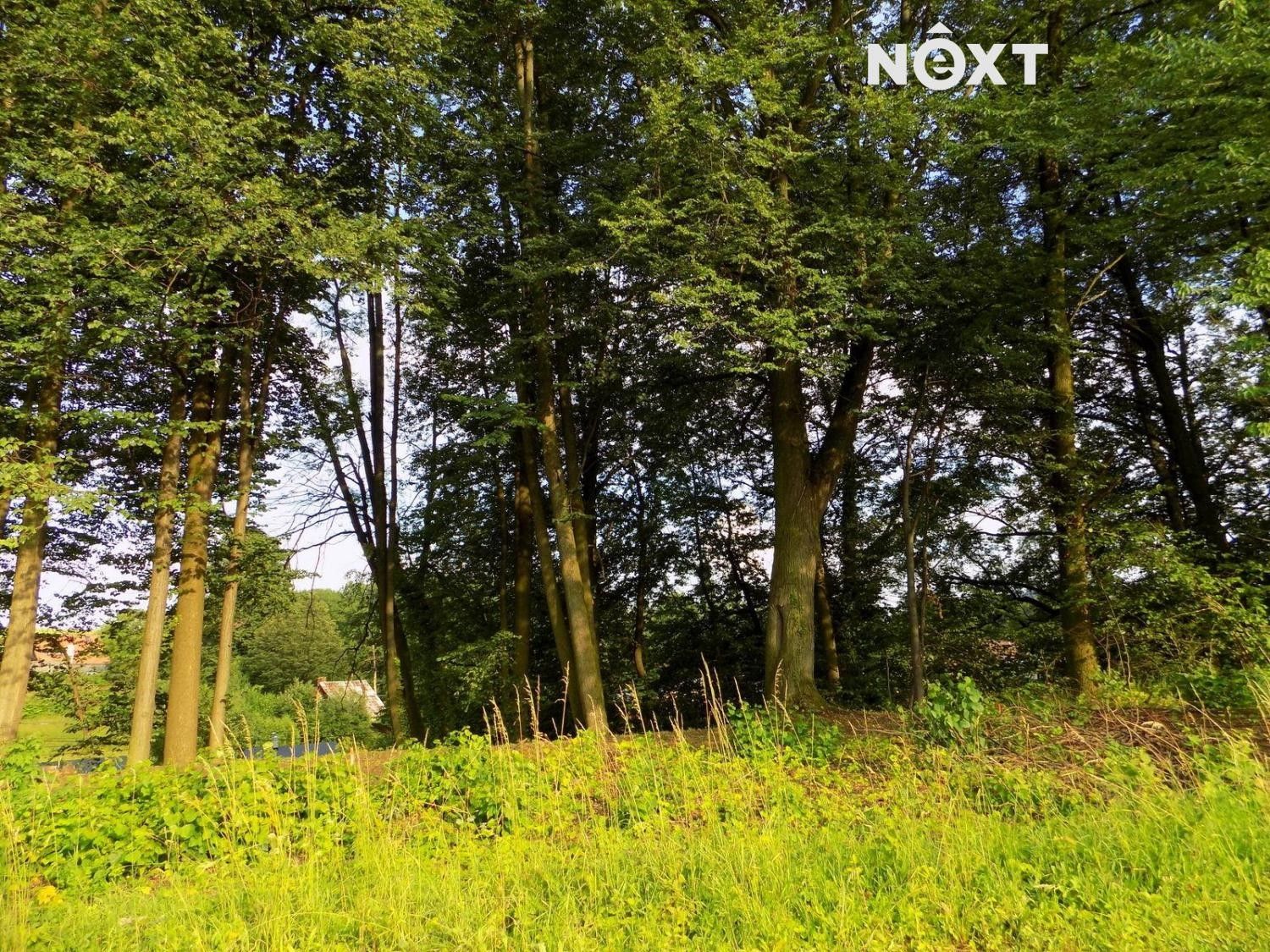 Prodej pozemek pro bydlení - Velké Kunětice