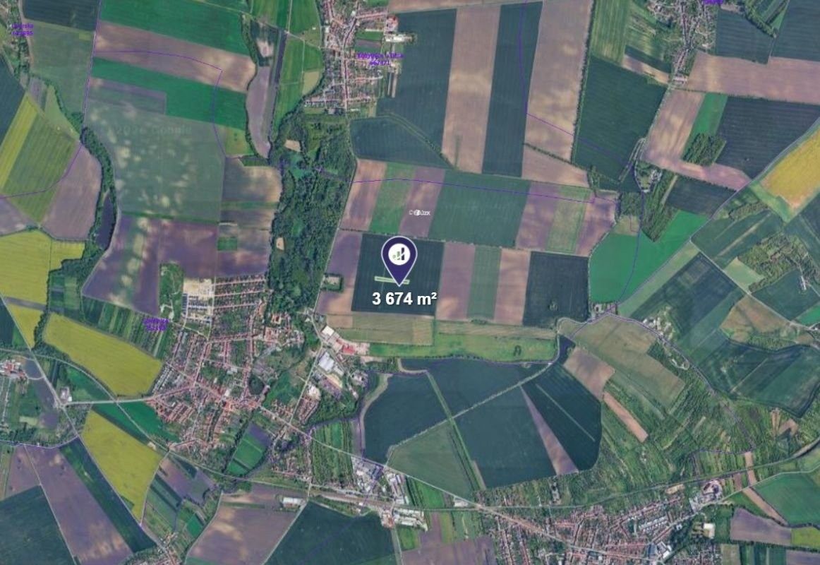Zemědělské pozemky, Sokolnice, 3 674 m² - 2