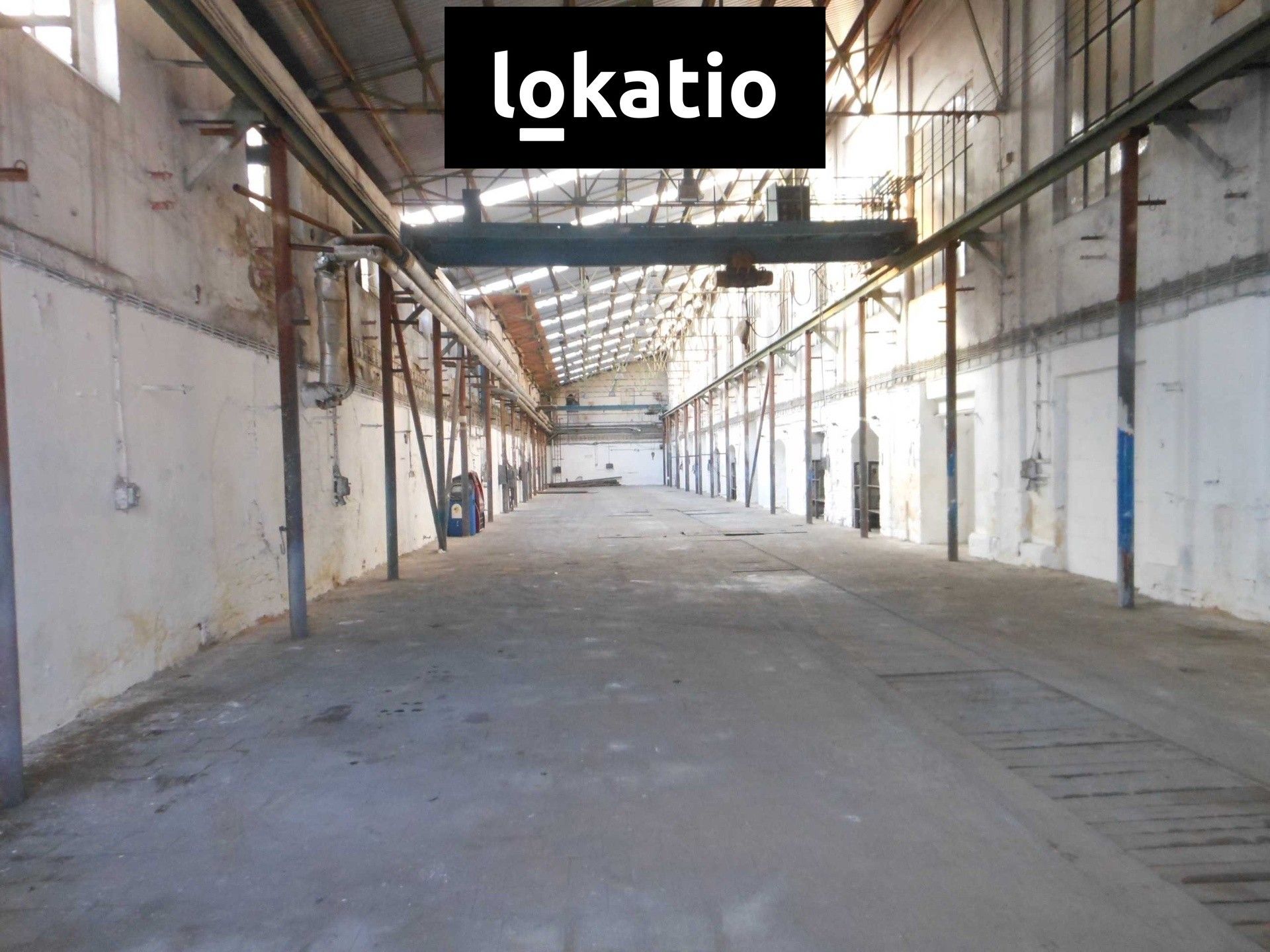 Sklady, Hospozín, 685 m²