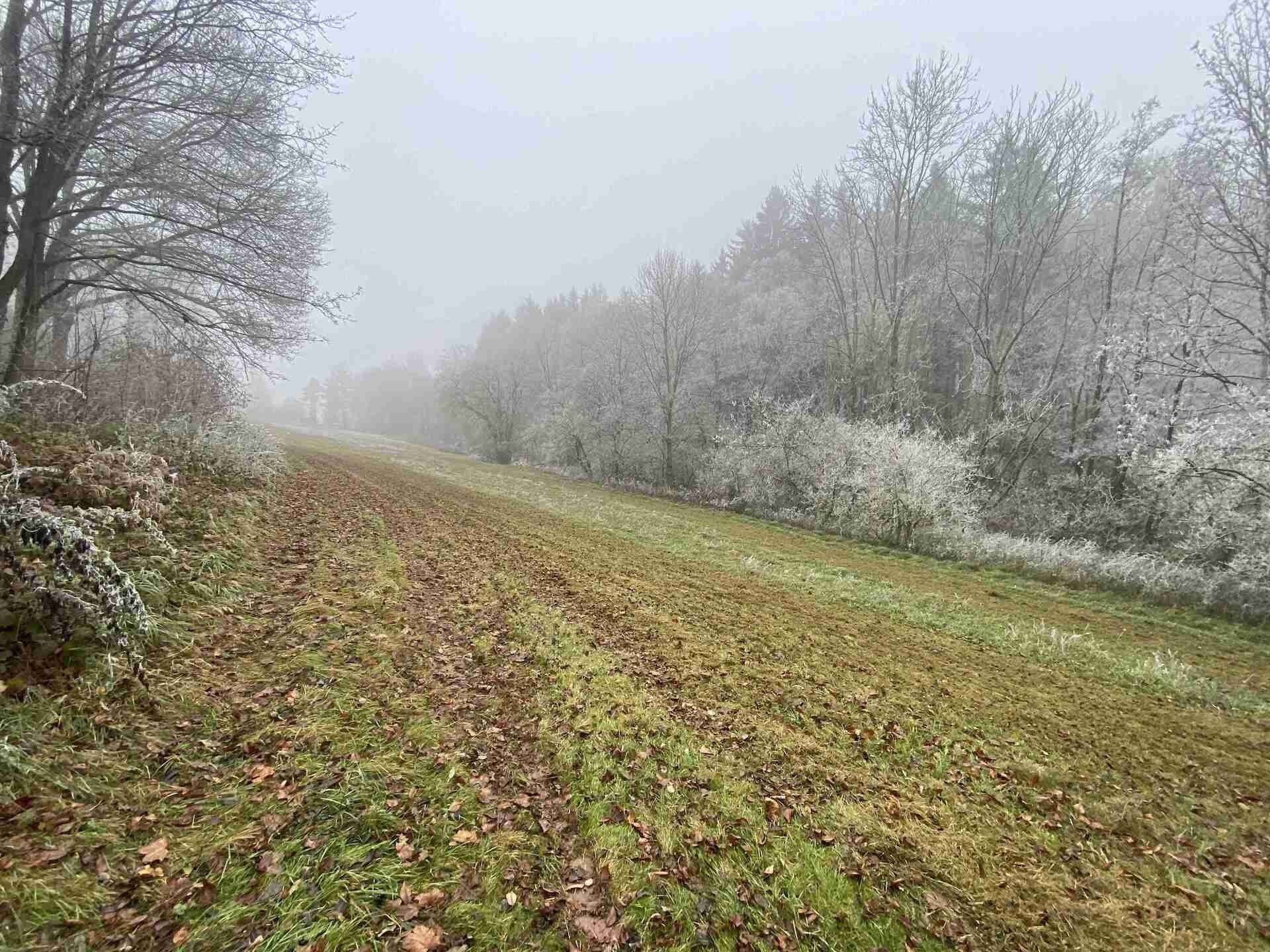 Prodej pozemek pro bydlení - Stará Paka, 1 m²