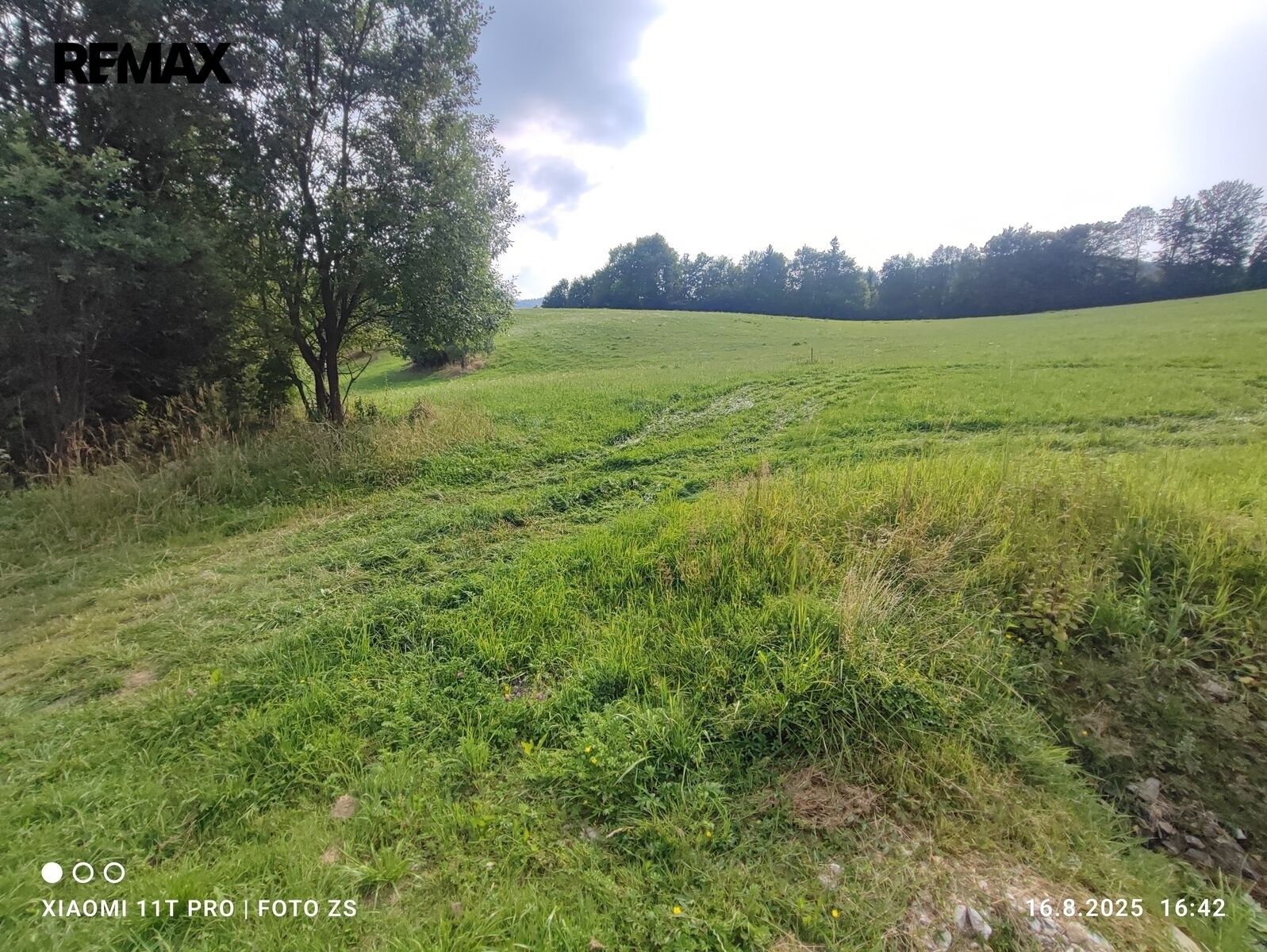 Pozemek pro bydlení · 22 105 m² · Lipová-lázně - 3