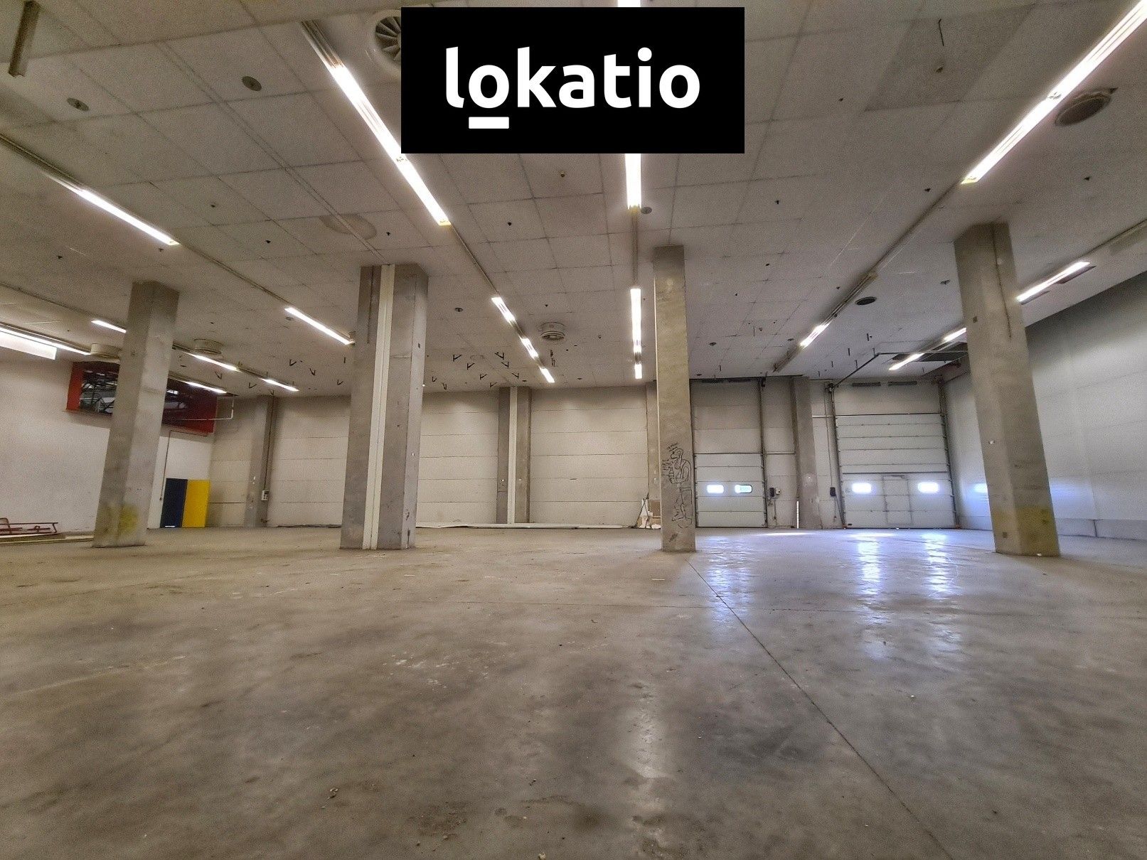 Pronájem sklad - Hranice, 1 579 m² - 5