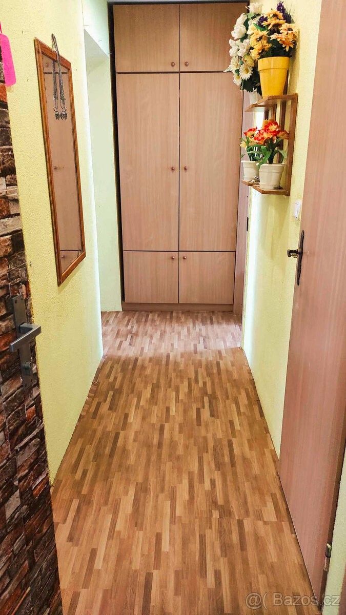 Prodej byt - Ryžoviště, 793 56