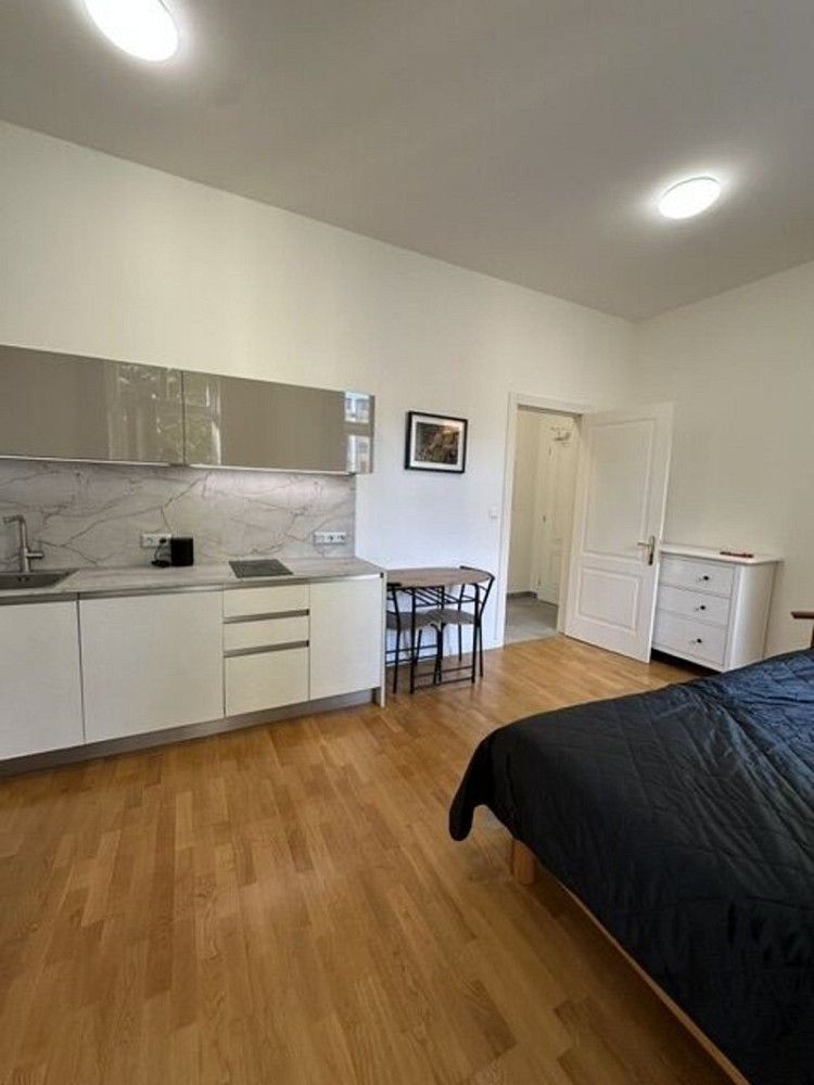 1+kk, Praha - Vinohrady, okres Praha 2, Hlavní město Praha, 30 m² - 2