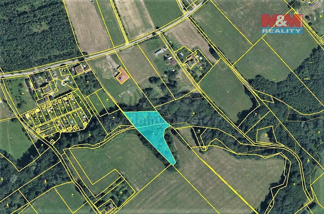 Lesy, Český Těšín, okres Karviná, Moravskoslezský kraj - 1