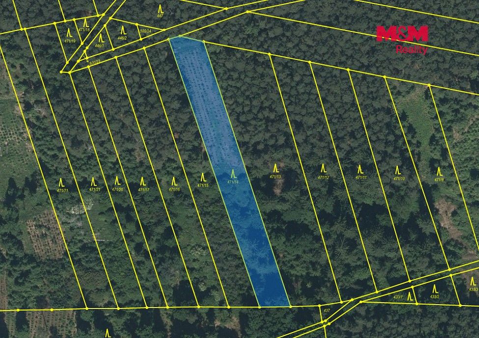 Lesy, Slabčice - Písecká Smoleč, okres Písek - 2