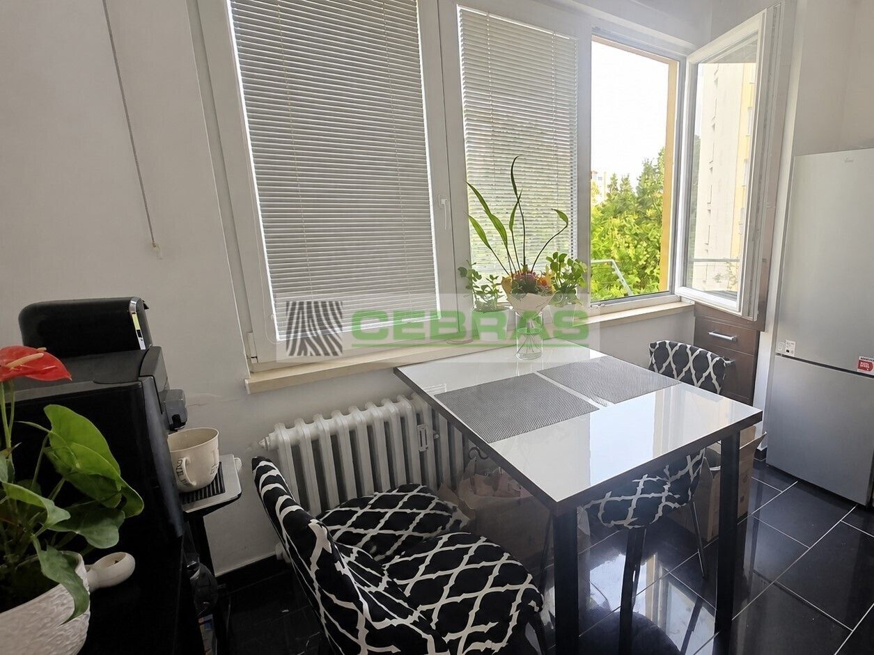 1+1, J. Plachty, České Budějovice, 36 m² - 1