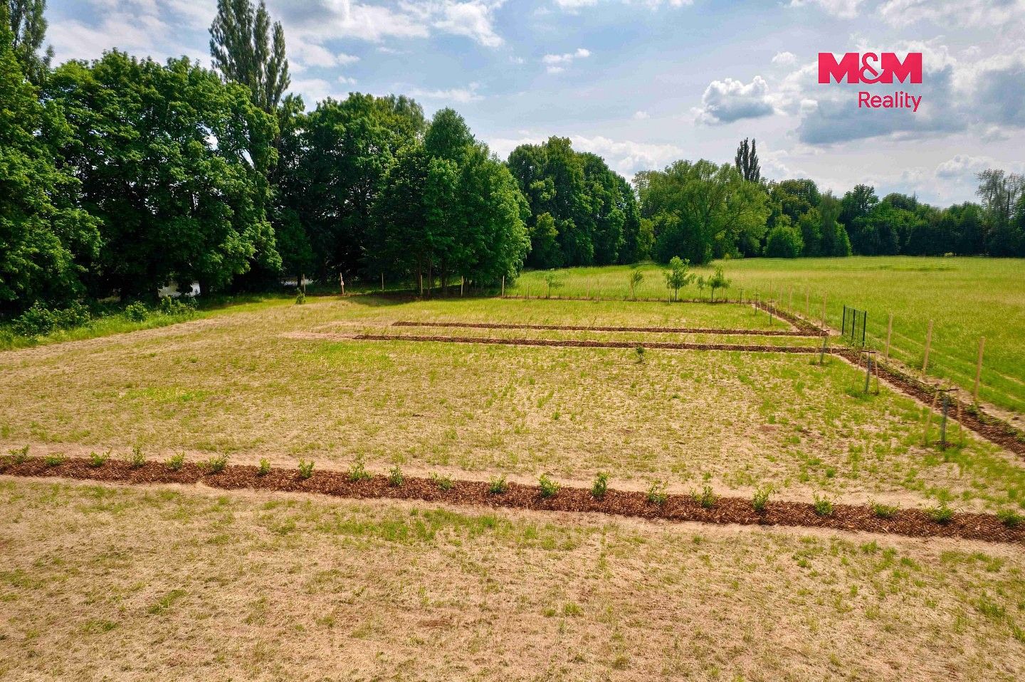 Zahrady, Hradec Králové - Pražské Předměstí - 2