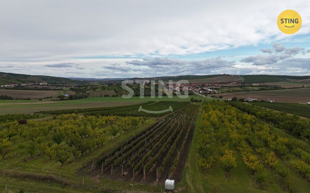 Prodej pozemek - Velké Pavlovice, 5 412 m²