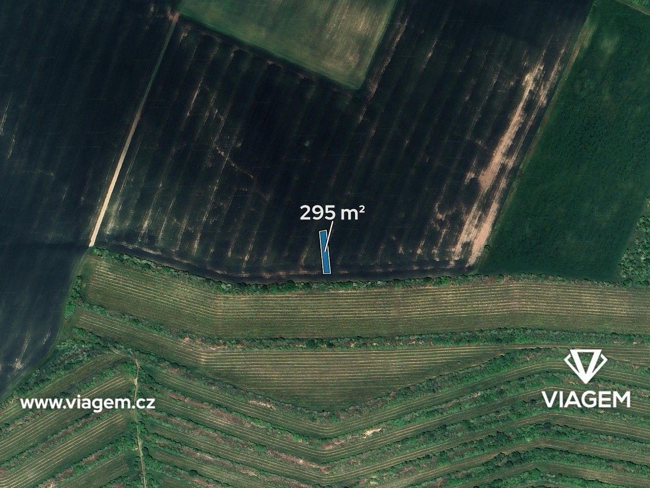 Prodej zemědělský pozemek - Morkůvky, okres Břeclav, Jihomoravský kraj - 2