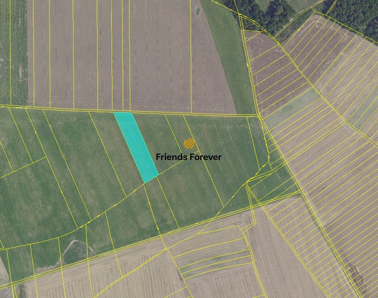 Prodej zemědělský pozemek - Velenice, okres Nymburk - 2