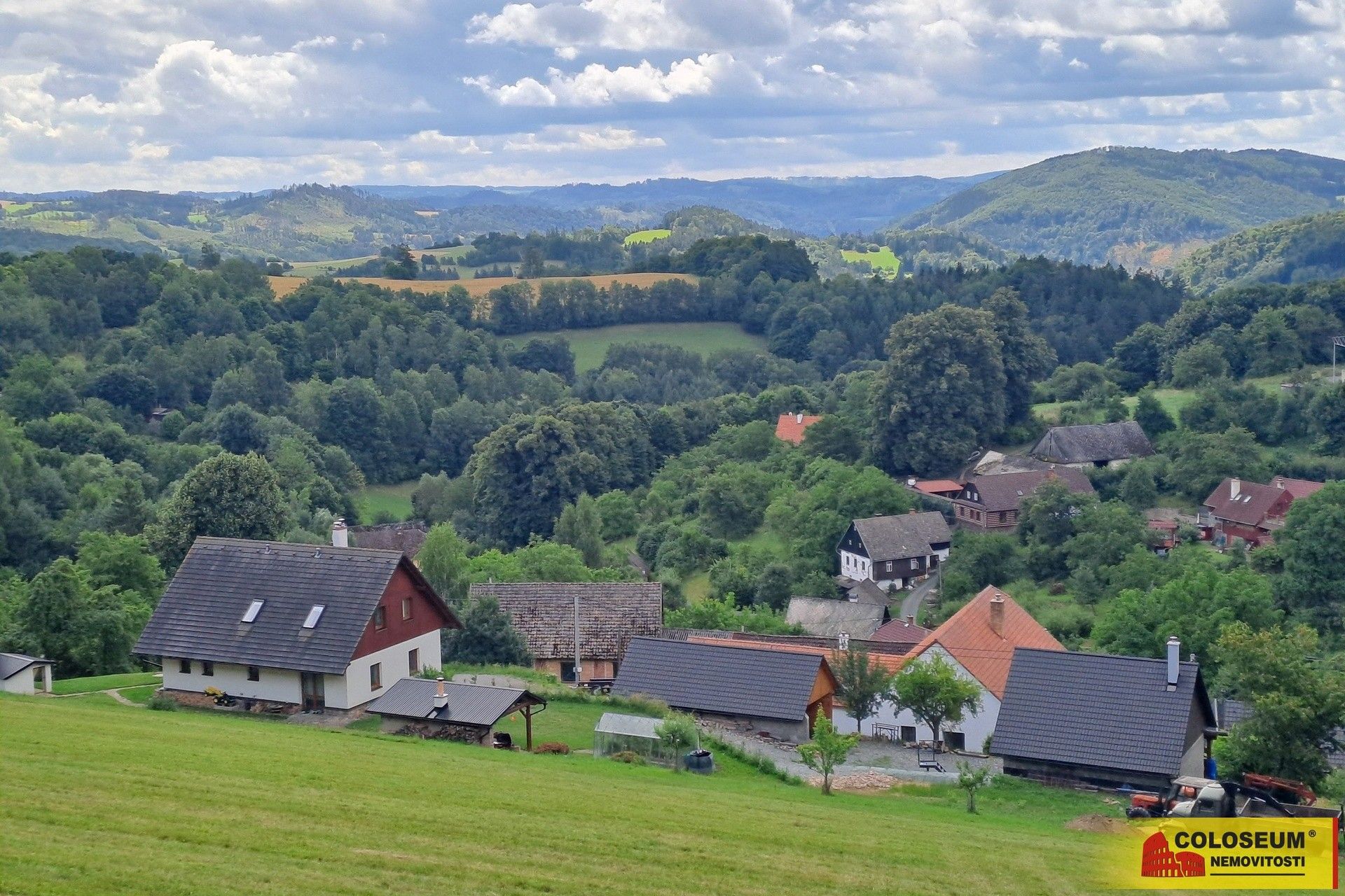 Prodej les - Hluboké, Dalečín