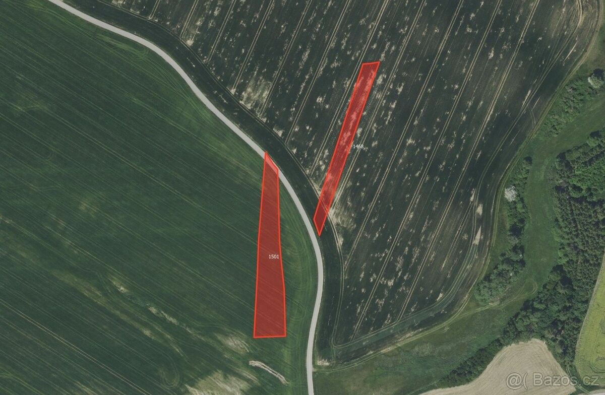 Pozemky pro bydlení, Vlašim, 258 01