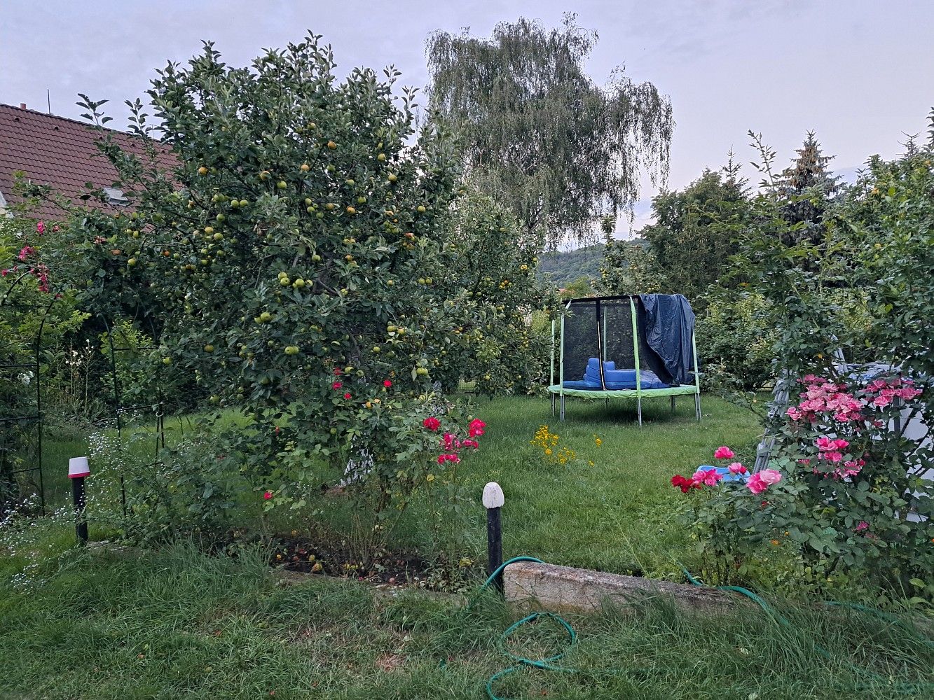 Prodej rodinný dům - Za Humny, Trmice, okres Ústí nad Labem, 300 m² - 5