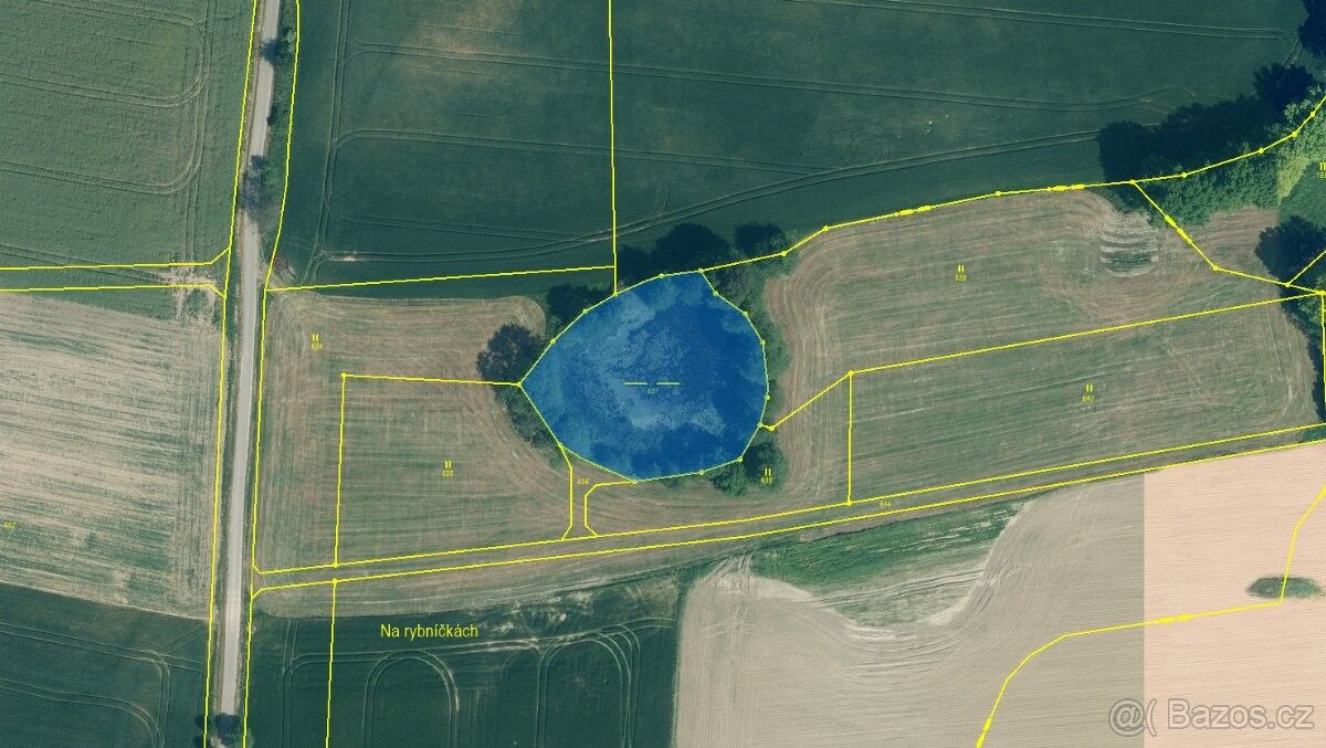 Prodej pozemek pro bydlení - Blovice, 336 01