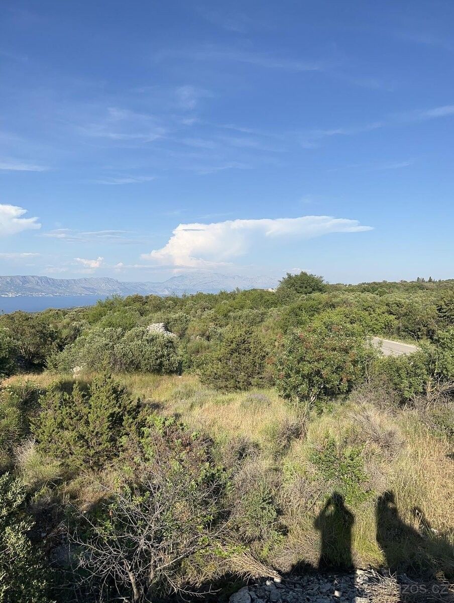 Pozemky pro bydlení, Čelákovice, 250 88