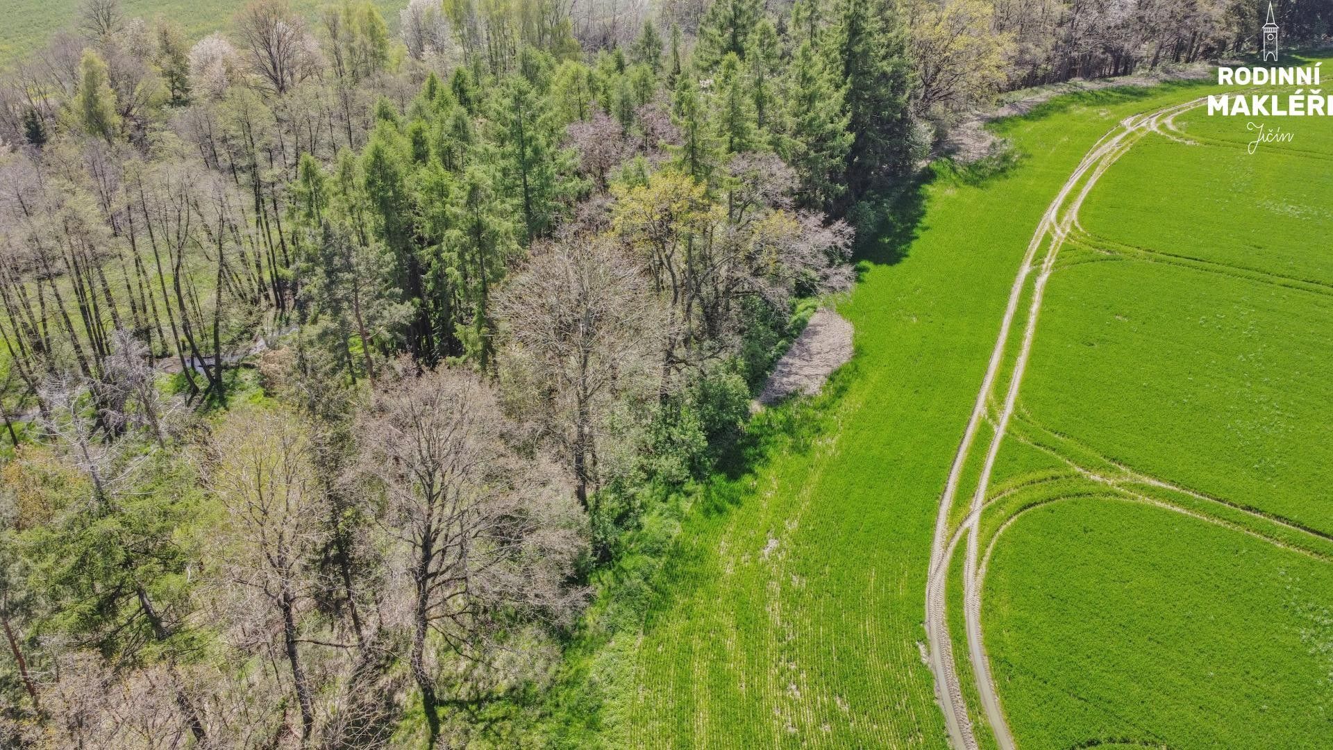 Prodej les - Vilémov