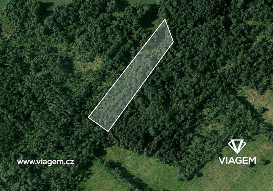 Prodej les - Borkovice, okres Tábor, Jihočeský kraj - 2