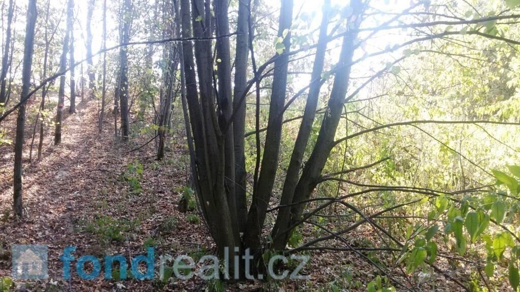 Pozemek · 1 510 m² · Ostrava - 3