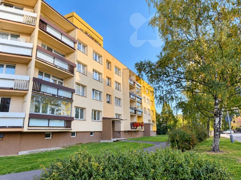 Byt 2+1, 53 m²