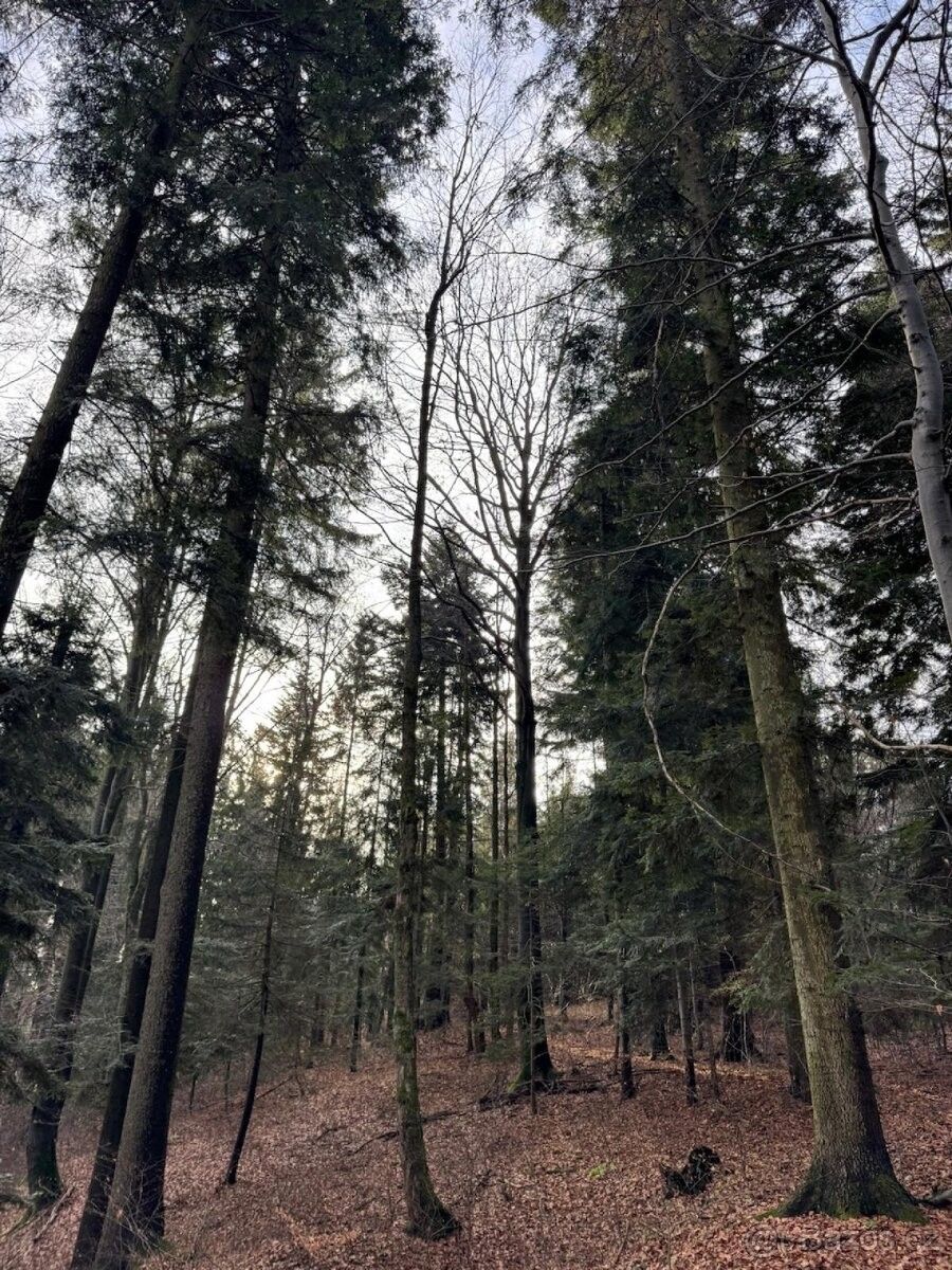 Pozemky pro bydlení, Halenkov, 756 03