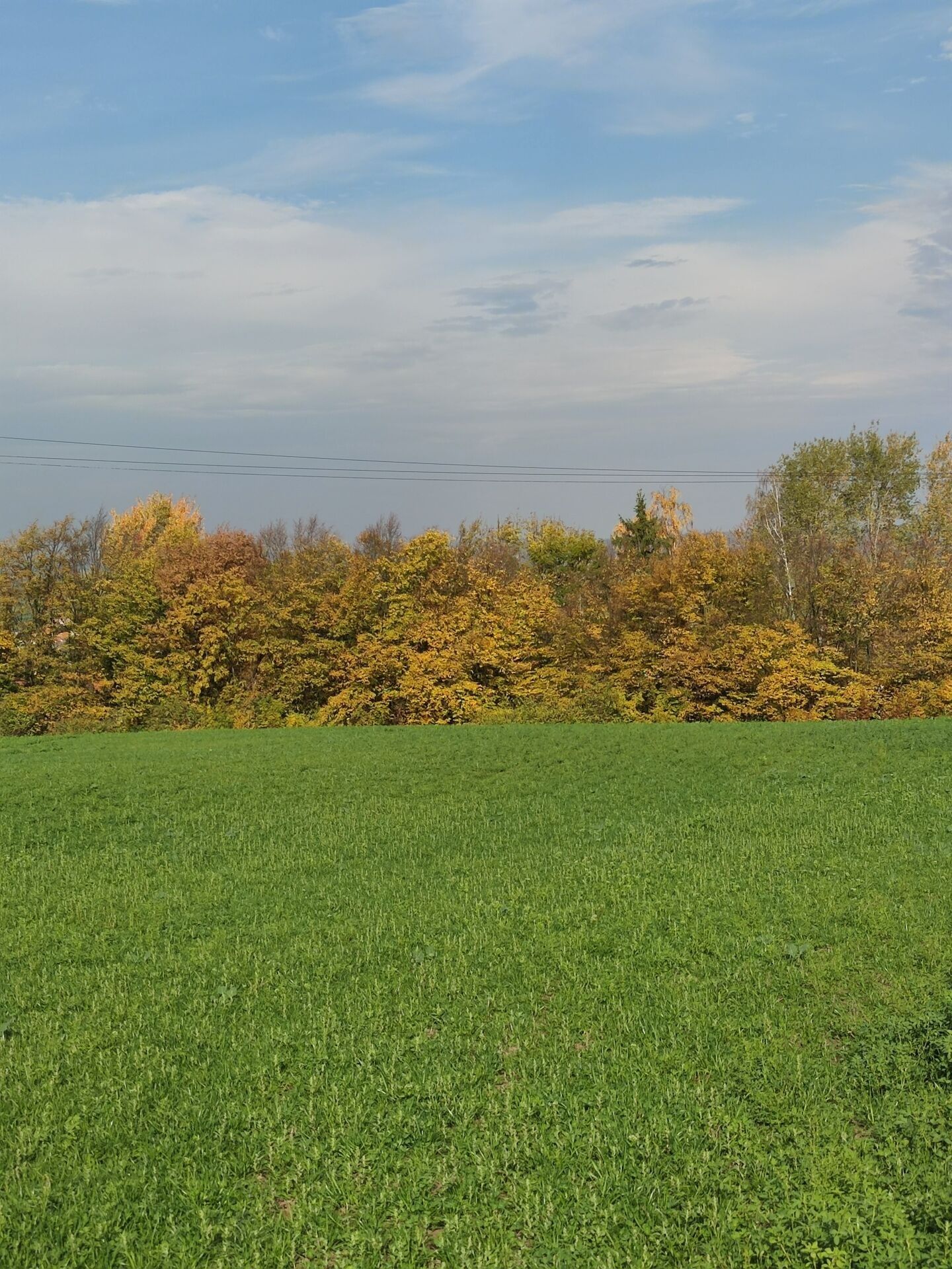 Pozemek pro bydlení · 477 m² · Tuchlovice - 4