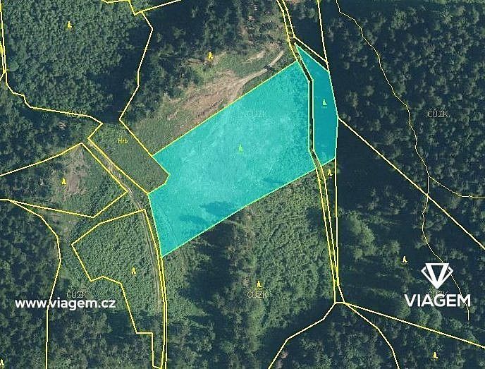 Les · Lhota u Vsetína, okres Vsetín, Zlínský kraj - 2