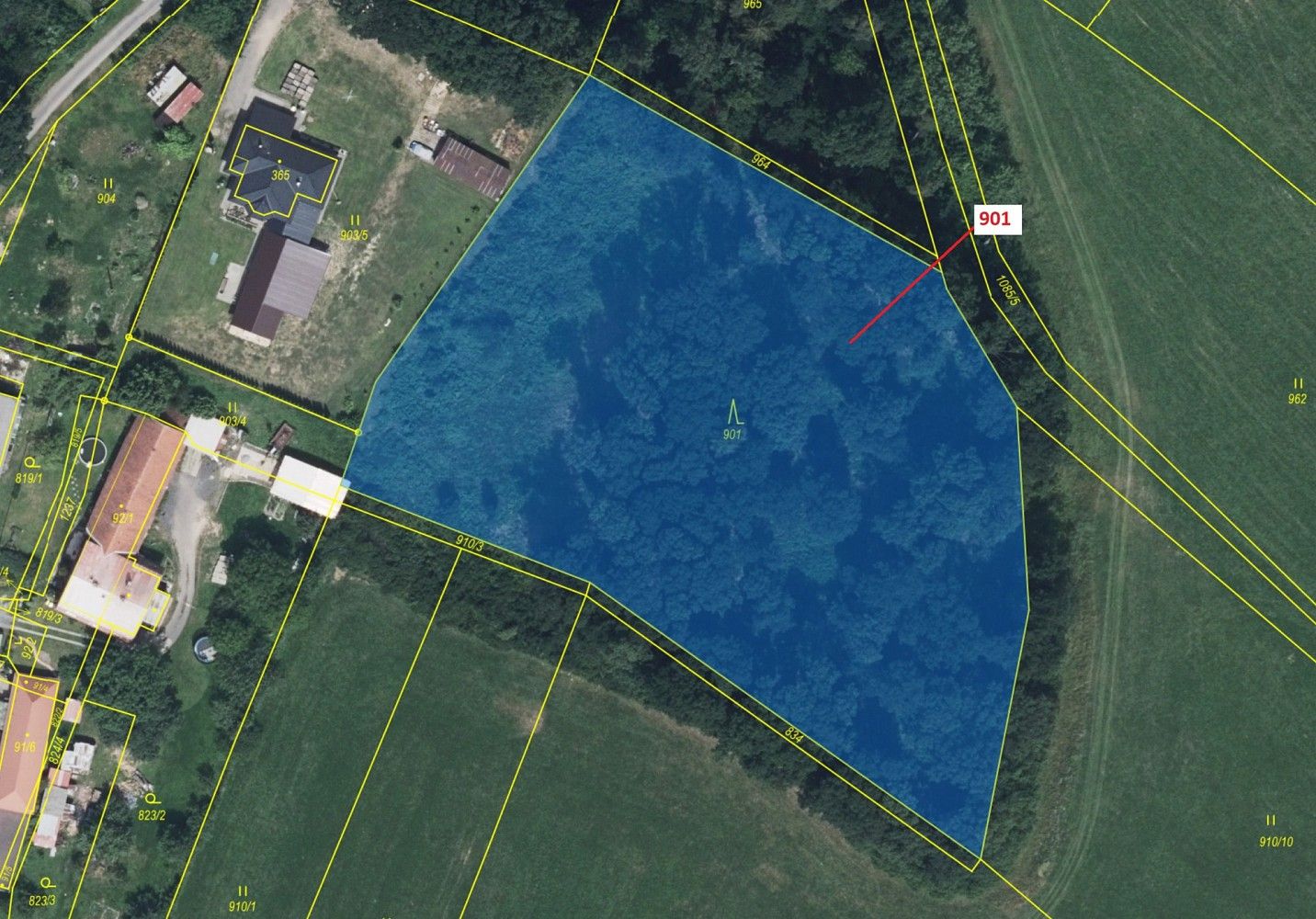 Prodej les - Sruby, okres Ústí nad Orlicí, Pardubický kraj - 2