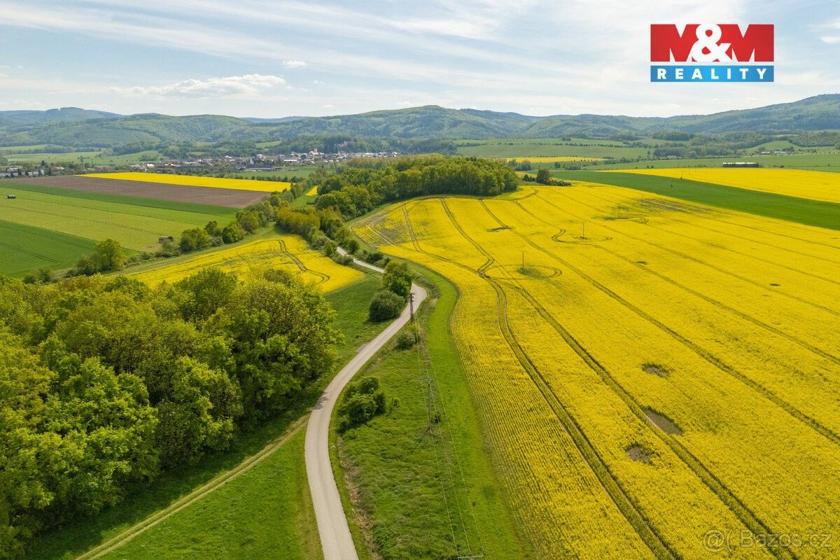 Prodej pozemek pro bydlení - Javorník u Jeseníku, 790 70